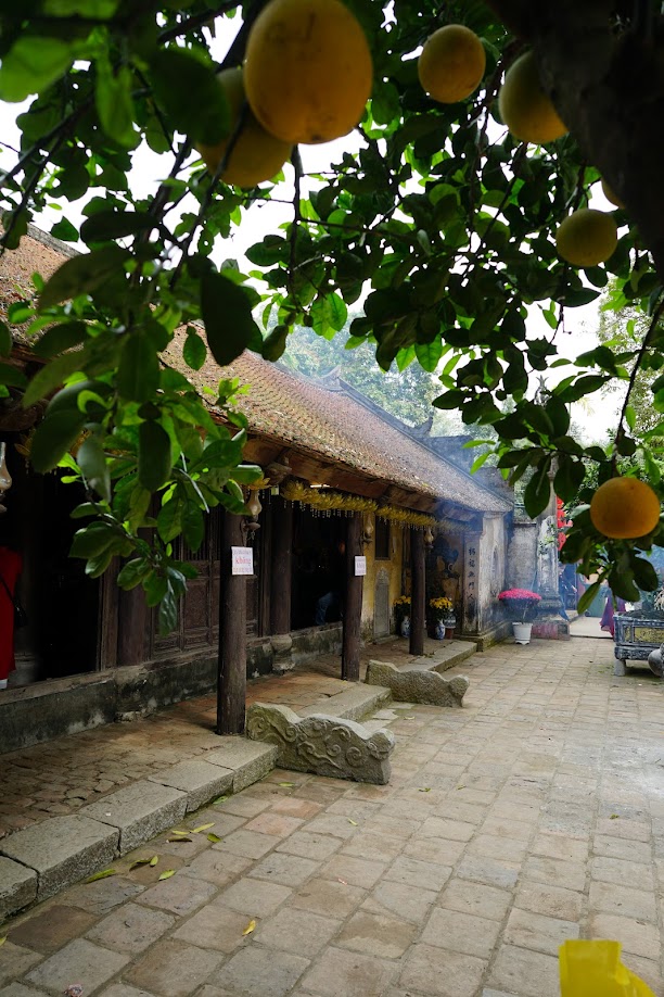 Hành trình du Xuân 2026