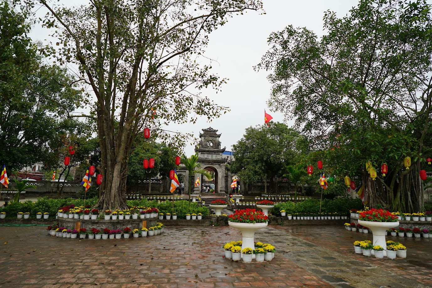 Hành trình du Xuân 2026